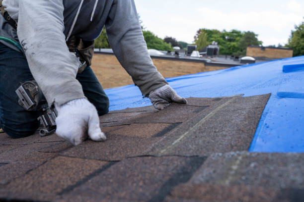 Roof Gutter Cleaning in East Valley, NV